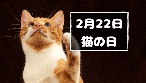 2月22|2月22日は何の日？記念日、出来事、誕生日などのまとめ雑学